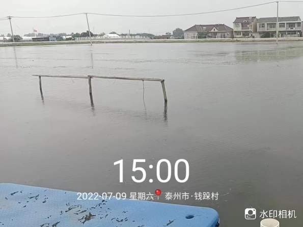 浑水处理效果案例