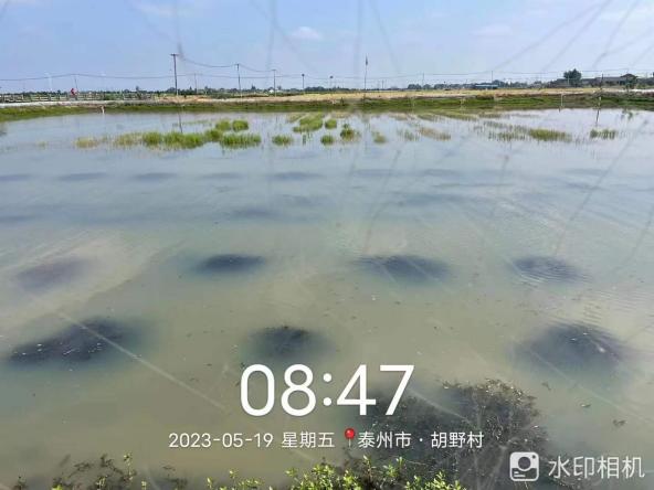 浑水处理效果案例