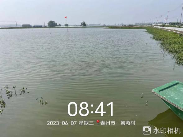 老绿水处理效果案例